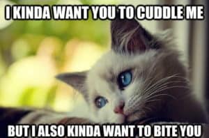 Hilarious Cuddle Memes And Images For Couple Cuddle Memes I Love Text Messages