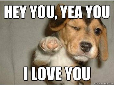 I Love You Funny Love Memes For Her