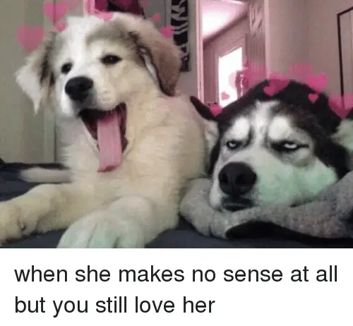 When She Makes No Sense Funny Meme