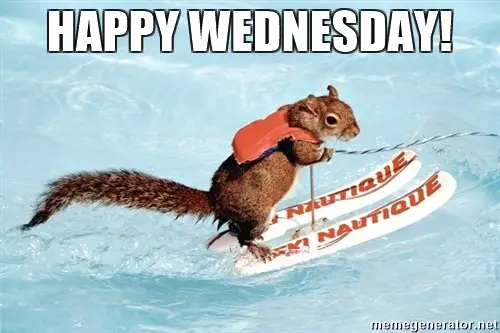 Happy Wednesday Cute Meme