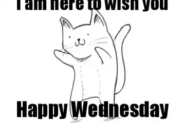 I'm Here To Wish You Happy Wednesday Funny Meme