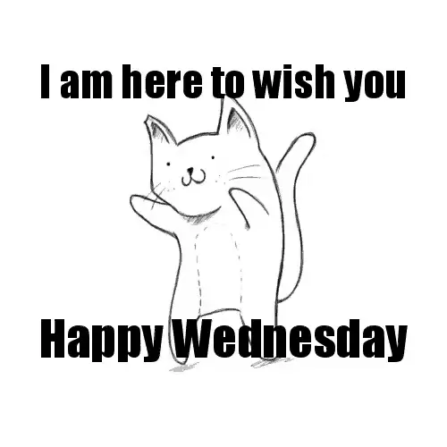 I'm Here To Wish You Happy Wednesday Funny Meme