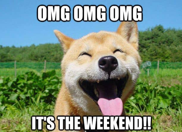 Omg Its The Weekend Dog Meme