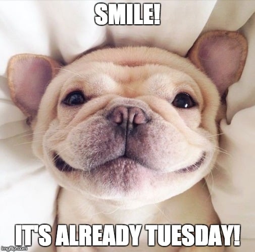 Smile It Already Tuesday Hilarious Tuesday Meme