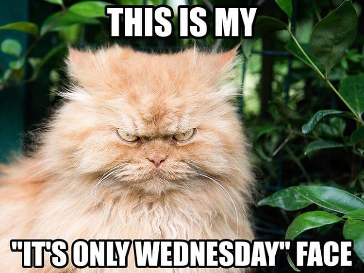 This Is My Wednesday Face Meme