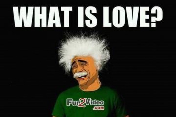 What Is Love Hilarious Meme About Love