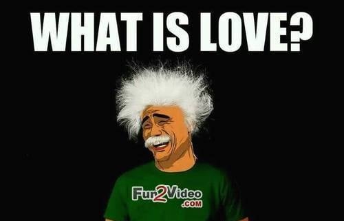 What Is Love Hilarious Meme About Love