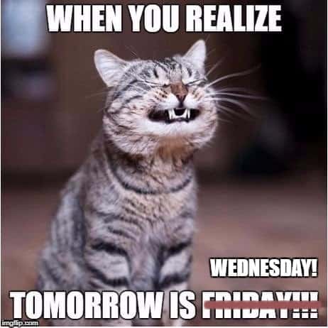 When You Realize Tomorrow Is Wednesday Hilarious Meme
