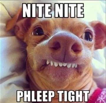Phleep Tight Hilarious Good Night Memes For Her