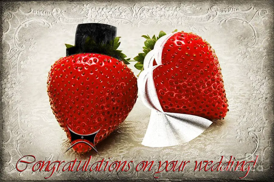 vintage-wedding-congratulations-old-design-shop-blog