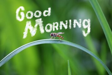 Good Morning Blessings for Him