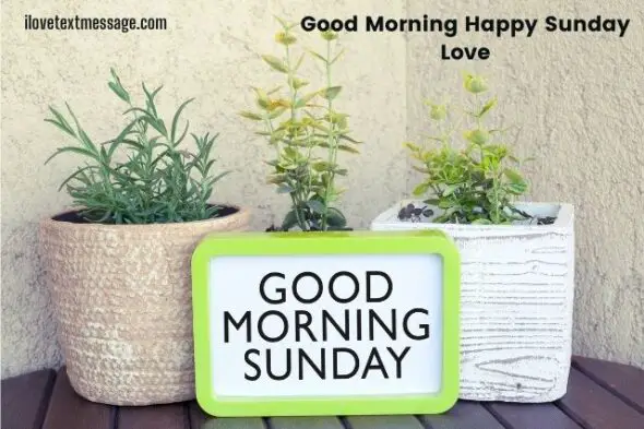Good Morning Happy Sunday Love