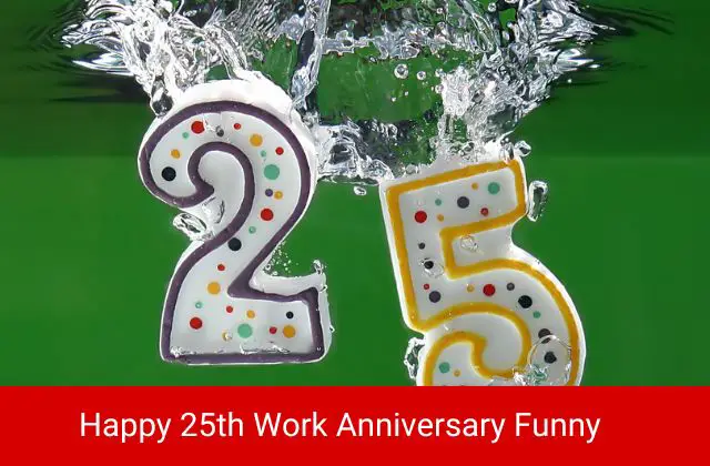 Happy 25th Work Anniversary Funny